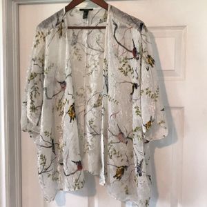 Whimsical sheer and velvet bird cardigan